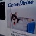 Vehicle Wrap Gallery Image